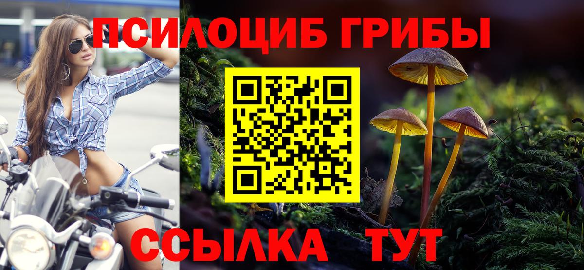 Галлюциногенные грибы прущие грибы  Псилоцибиновые грибы GOLDEN TEACHER  Вход с VPN  Сочи 