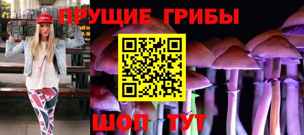 Галлюциногенные грибы Cubensis Сочи